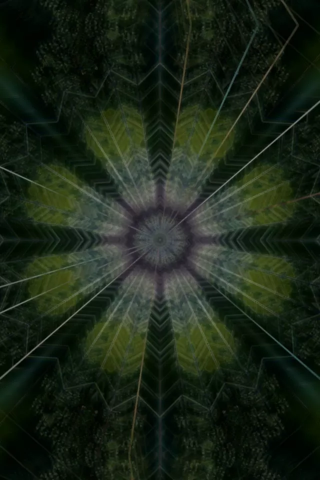 Neon Tunnel Pulsating Mandala Vortex 2:3 Portrait 60fps Screensaver