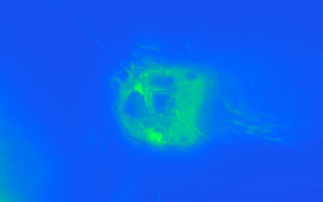 Neon Tunnel VJLoops 16:10 Macbook 60fps Screensaver Green Blue Lights Motion