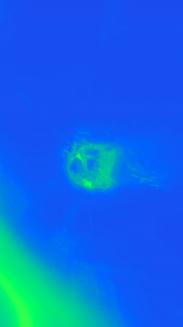 VJ Loop Neon Tunnel 9:16 Reels 60fps Xanh Dương Xanh Lá Screensaver Motion