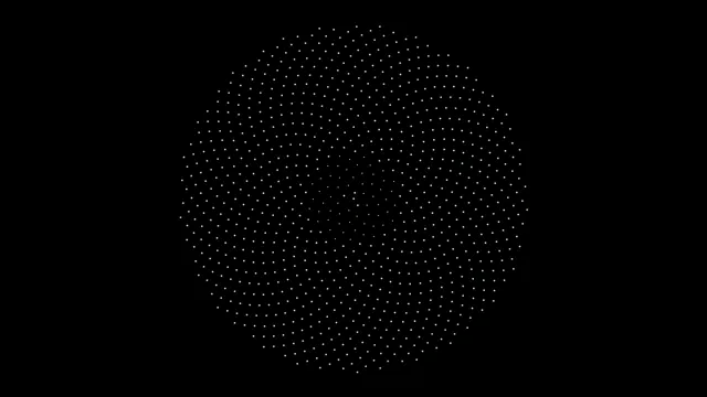 Patterns of dots arranged in a circular shape on a black background