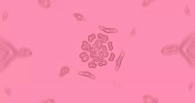 গোলাপী বিমূর্ত প্রবাহমান জৈব গতি পটভূমি লুপ