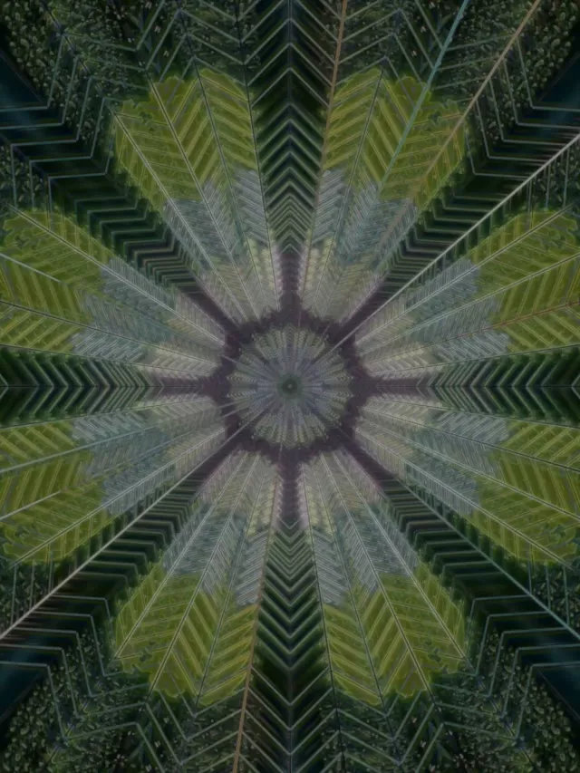 Radial Feather Neon Tunel 3:4 iPad Portrait 60fps VJ Loop Screensaver