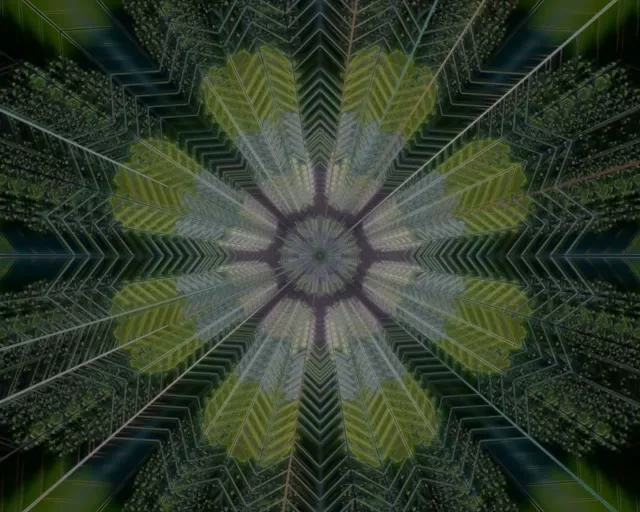Radiaalne kaleidoskoop pursked Neon Tunnel 5:4 tööstuslik 60fps VJLoops Screensaver