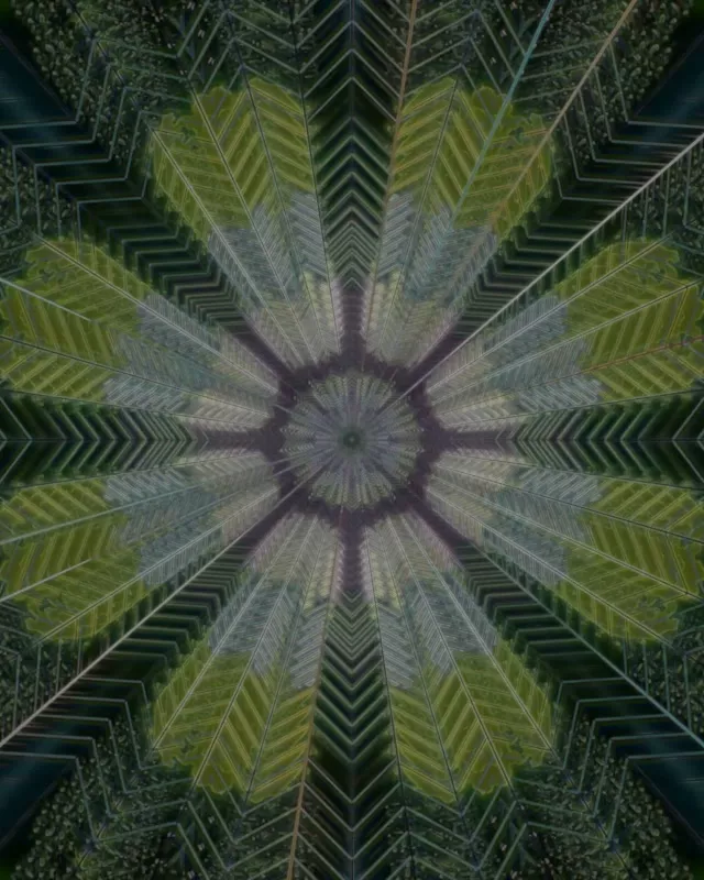 Caleidoscopi Radial Túnel Neon | VJ Loop 60fps 4:5 Instagram Protector de Pantalla