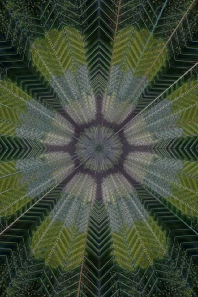Strahlende blättrige Mandala Neon-Tunnel | 2:3 Hochformat 60fps VJ Loop Screensaver