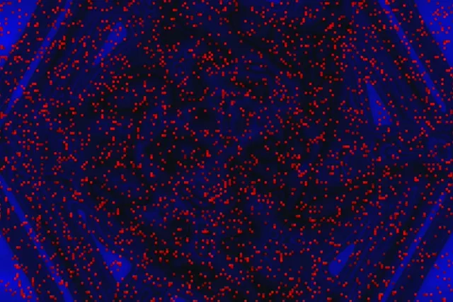 ネオントンネル 赤ピクセルスワール 3:2 Surface 60fps スクリーンセーバー VJLoops