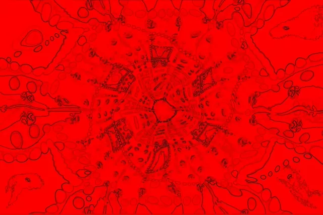Red Kaleidoscope Neon Tunnel VJ Loop 3:2 Surface 60fps Screensaver