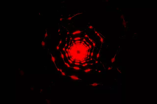 Red Pulsating Octagon Neon Tunnel VJ Loop 60fps 16:9 Screensaver
