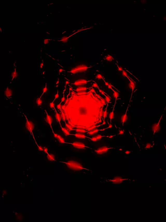 Red Neon Tunnel Octagon Vortex Loop 3:4 iPad Portrait 60fps Screensaver VJ