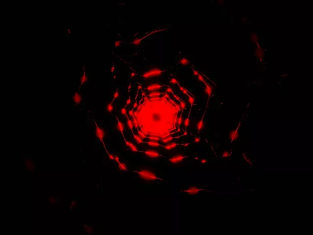 Red Pulsating Octagon Neon Tunnel 4:3 Classic 60fps VJ Loop Screensaver