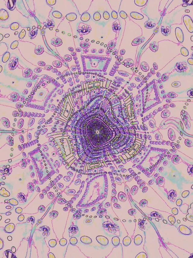 Neon Tunelis Fraktalo Kaleidoskopas VJLoops 3:4 iPad Portretinis 60fps Ekrano užsklanda