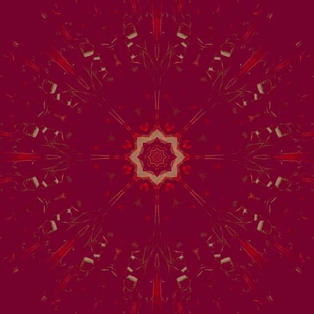 Neon Tunelis Kaleidoskops Zvaigznes Sprādziens Violets Sarkans VJLoops 1:1 Kvadrāts 60fps Ekrānsaudzētājs