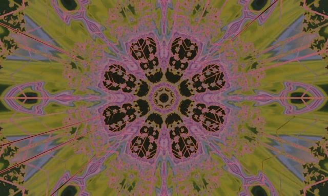 Neon Tunnel Kaleidoscoop Bloemenuitbarsting VJ Loop 5:3 Breed 60fps Schermbeveiliging