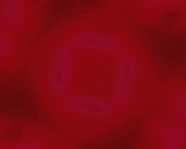 Neon Tunnel Purple Rotating Square Vortex Vj Loop 5:4 industrial 60fps screensaver