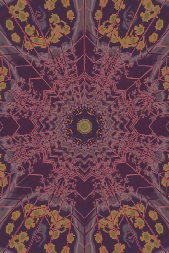 Neon Tunnel Blomst Mandala Kaleidoskop 2:3 Fotoportrett 60fps Skjermsparer VJ Loop