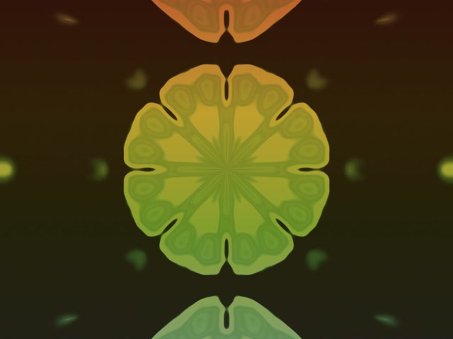 Neontunnel Fraktal Mandala Eksplosjon 4:3 Klassisk 60fps Skjermsparer VJ Loop