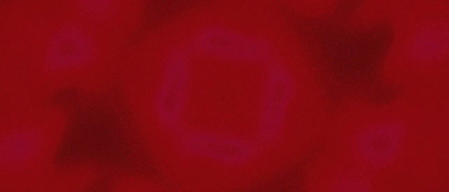 Neon Tunnel Lilla Kvadrat Virvel Vj Loop 21:9 Ultrawide 60fps Skjermsparer