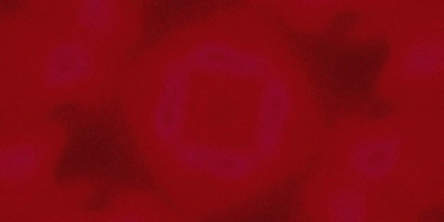 Neon Tunnel Lilla Kvadrat Virvel Vj Loop 2:1 Univisium 60fps Skjermsparer