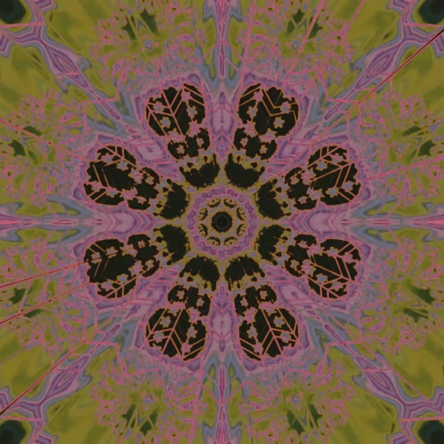 Neon Tunel Kvetinový Kaleidoskop VJLoops 1:1 Štvorec 60fps Šetrič Obrazovky