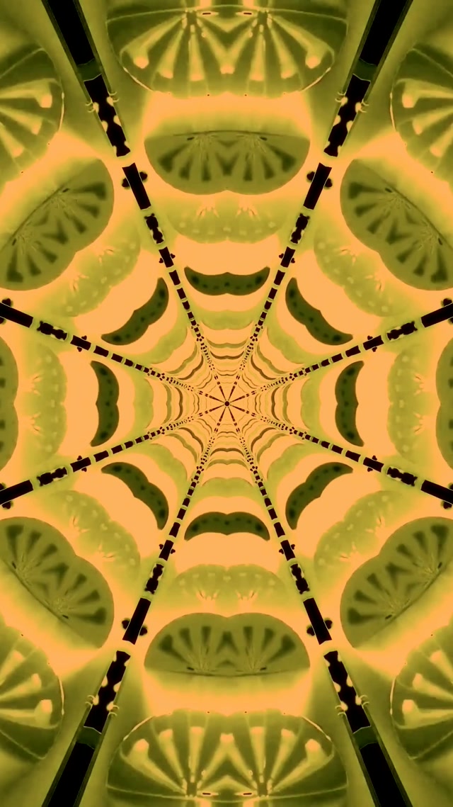 Vj loop Neon Tunnel Spider Web Kaleidoscope 9:16 Reels 60fps Screensaver