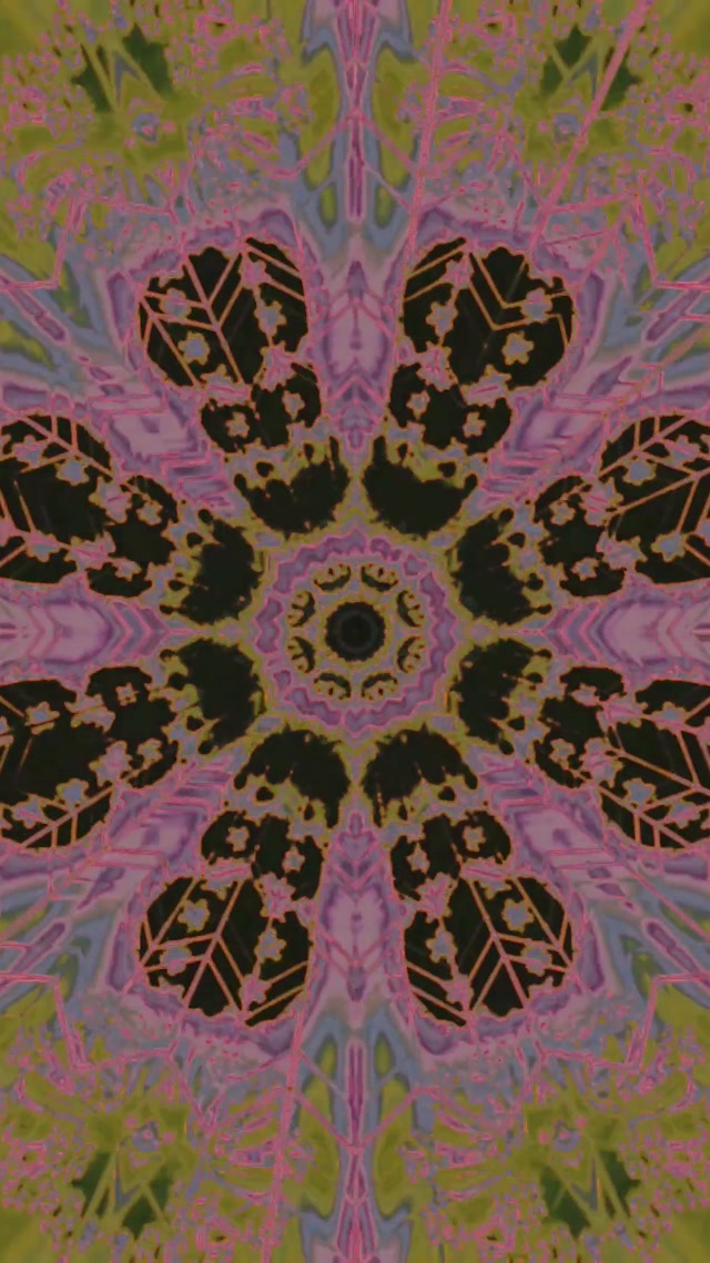 Neon Tunnel Kaleidoscope Mandala VJLoops 9:16 Reels 60fps Screensaver