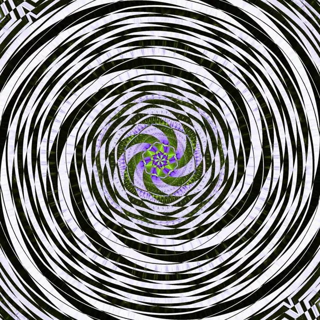 Spiraling Neon Tunnel VJ Loop 1:1 Square 60fps Screensaver