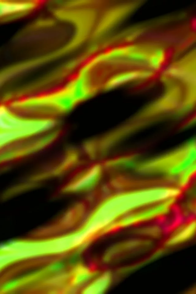 2:3 Portrait 60fps Neon Tunnel Screensaver - Flowing Neon Wavelengths Background for Edits