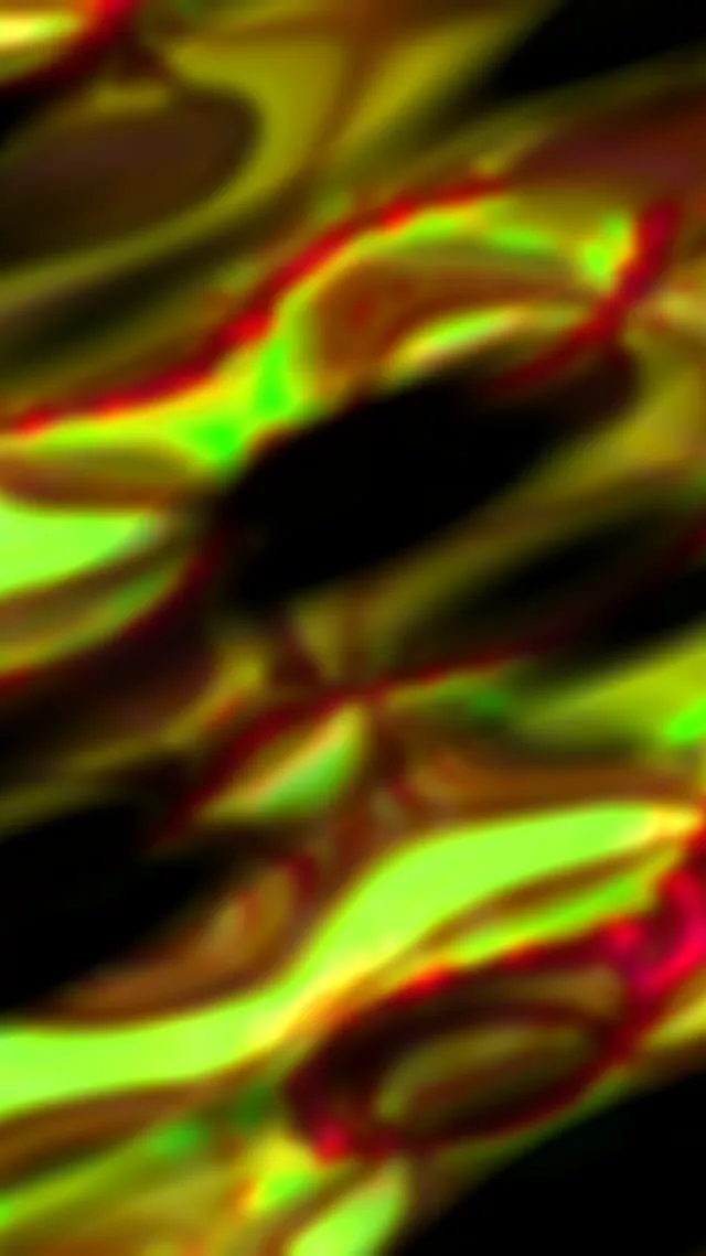 9:16 Reels 60fps Neon Tunnel Screensaver - Pulsating Geometric Spiral VJ Animation