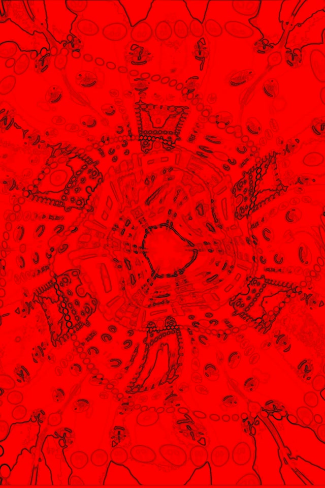 Đường Hầm Neon Phân Dạng Đỏ Screensaver 2:3 Photo Portrait 60fps Vj Loop